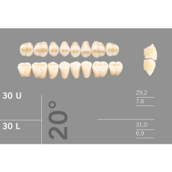 30L 20 Artic 8 zuby distlne doln (VITA A1-D4)