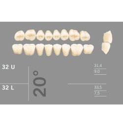 32L 20 Artic 8 zuby distlne doln (VITA A1-D4)