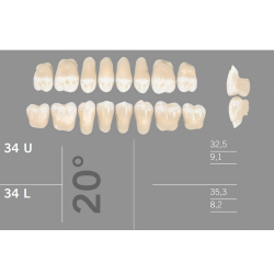 34L 20 Artic 8 zuby distlne doln (VITA A1-D4)