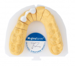 Etiketa Giroform (1000ks)