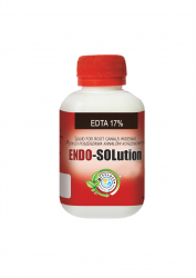 ENDO-SOLUTION 120 ml