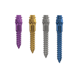 OrthoEasy PAL LONG skeletal