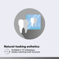 Esterika s prirodzenm vzhadom  vpl je dostupn v 12 rntgenkontrastnch odtieoch zodpovedajcich truktre zubov