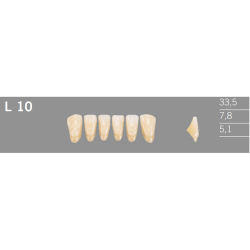 L10 Artic 6 zuby front�lne doln� (VITA A1-D4)