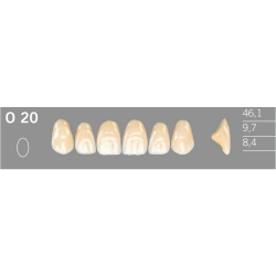 O20 Artic 6 zuby frontálne horné (VITA A1-D4)