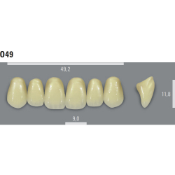 VITA MFT zuby O49