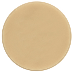 Provisional PMMA shaded