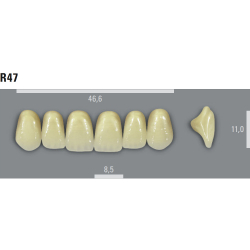 VITA MFT zuby R47