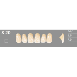 S20 Artic 6 zuby frontálne horné (VITA A1-D4)