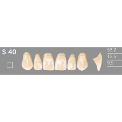 S40 Artic 6 zuby frontálne horné (VITA A1-D4)
