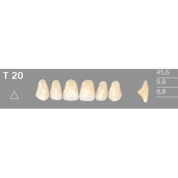 T20 Artic 6 zuby frontálne horné (VITA A1-D4)