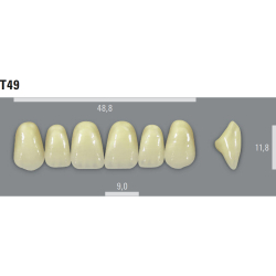 VITA MFT zuby T49