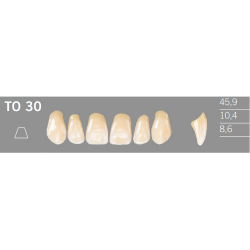 TO30 Artic 6 zuby frontálne horné (VITA A1-D4)