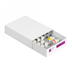 VITA VMK MASTER STARTER SET cl  POWDER (A2/A3)