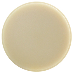 Wax disc ivory