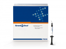 Grandio Seal refill 2 x 2 g syringes