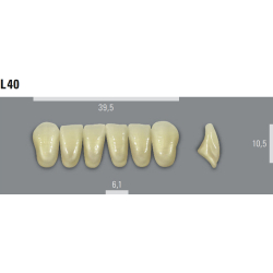 VITA MFT zuby L40