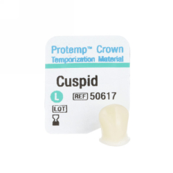 Protemp Crown 50617 Cuspid