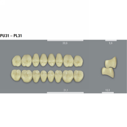 VITA MFT zuby PL31